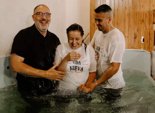 Involucrate Involucrate